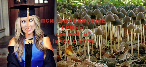 мяу мяу мука Армянск