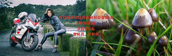 марки nbome Арсеньев