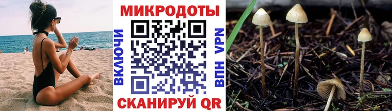 Галлюциногенные грибы MAGIC MUSHROOMS  купить  цена  Бахчисарай 